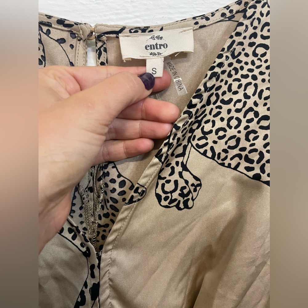 Entro - Picture 4 of 4